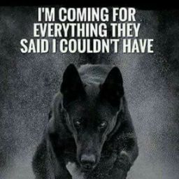 Rita Mcpherson Photo 8