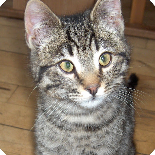 Jill Christensen Photo 11