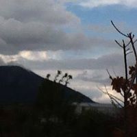 Cheri Walker Photo 17