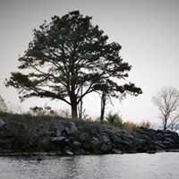 Gerald Meeks Photo 5