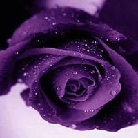 Candace Nicholas Photo 13