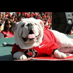 Lori Pittman Photo 33