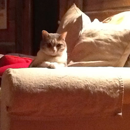 Audrey Williams Photo 8