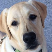 Elizabeth Bristow Photo 10