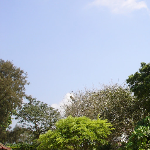 Janet Cheung Photo 14