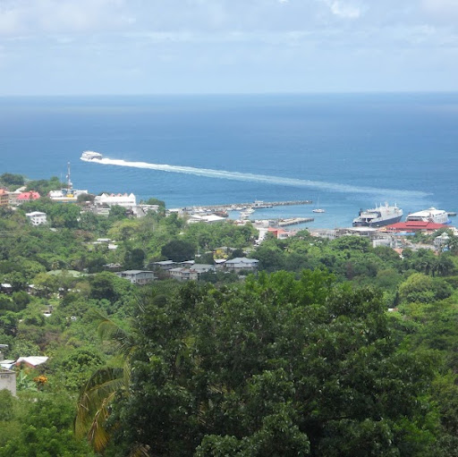 Janice Warner Photo 24