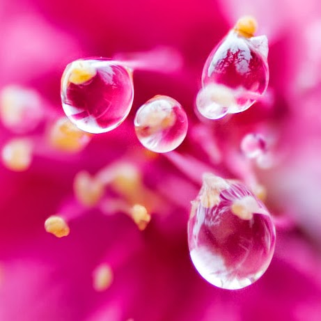 Raymond Liang Photo 18