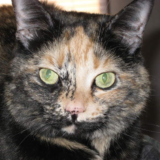 Lisa Bobbitt Photo 8