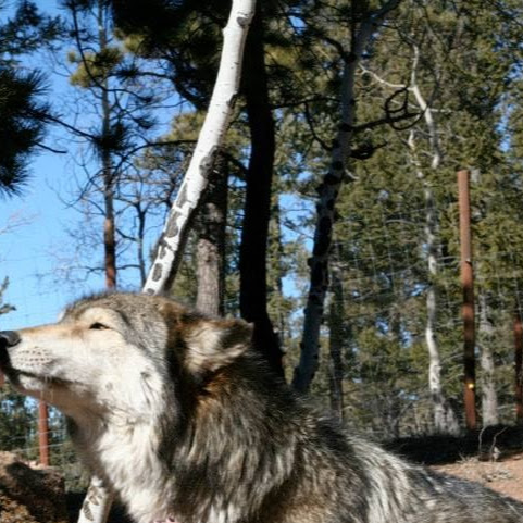 Jennifer Moses Photo 37