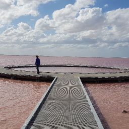 Mark Withers Photo 34