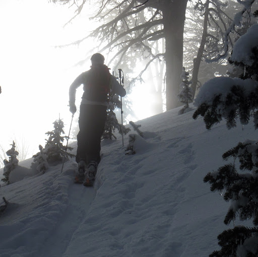 Matt Dodson Photo 10