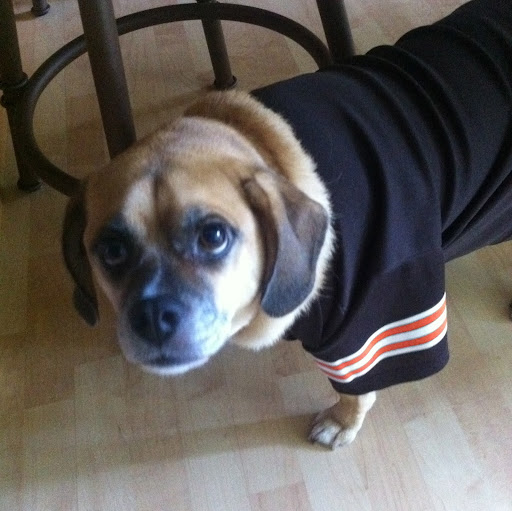 Chris Marsh Photo 37