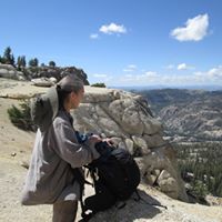 Dana Harvey Photo 19