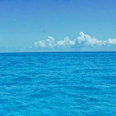 David Brewster Photo 55 David Brewster Photo 55