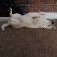 William Maxwell Photo 44 William Maxwell Photo 44