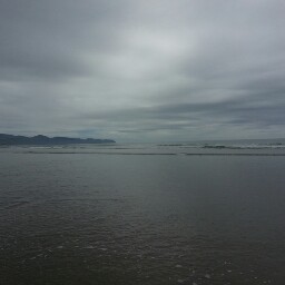 Ronald Hooper Photo 27