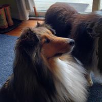 Rosemary Robinson Photo 13