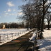 Mary Olmstead Photo 12