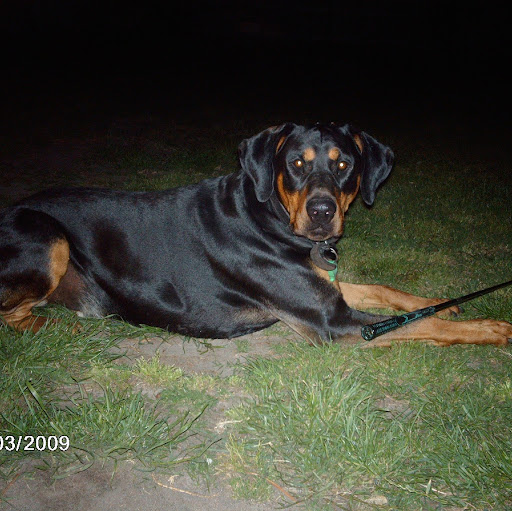 Donald Richards Photo 27 Donald Richards Photo 27