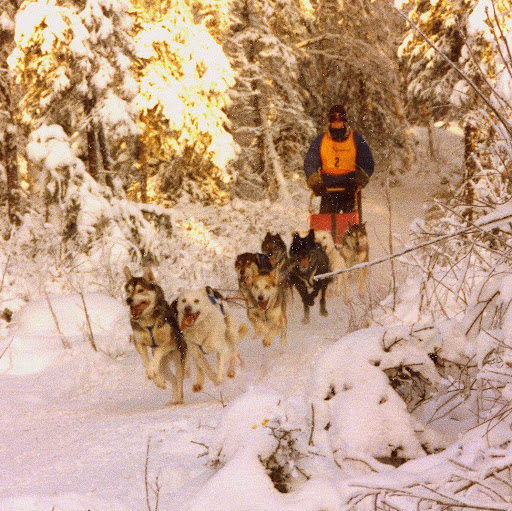 Curtis Baker Photo 7