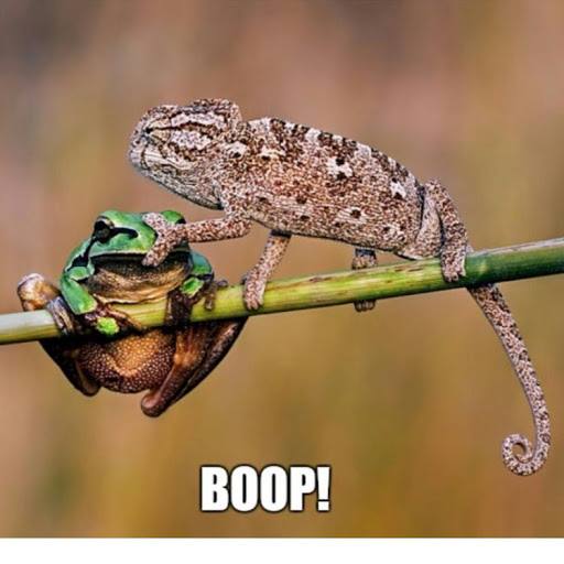 Jason Coleman Photo 46