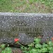 Anna Schroeder Photo 27