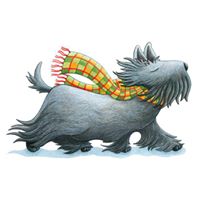 Debbie Gross Photo 33