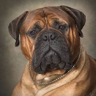 Diane Barnes Photo 32