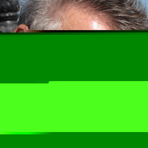 Ronnie Levine Photo 15