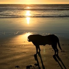 Judith Howard Photo 33 Judith Howard Photo 33