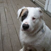 David Pfeiffer Photo 45