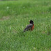 Robin Choate Photo 25