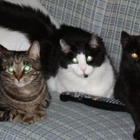 Jennifer Sweeney Photo 16 Jennifer Sweeney Photo 16