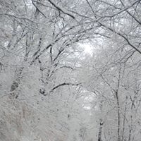 Debbie Lytle Photo 3