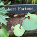 Robert Fortune Photo 34