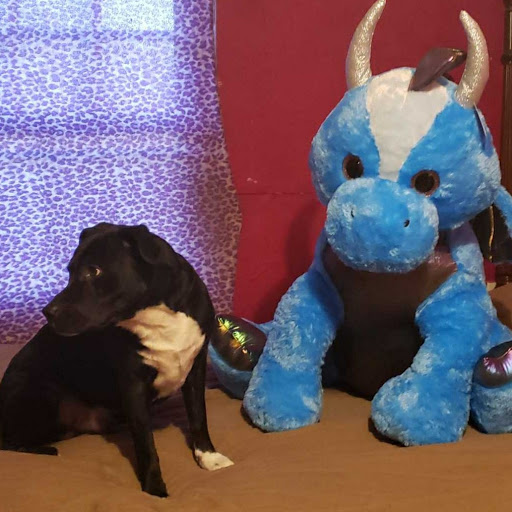 Leslie Spaulding Photo 20