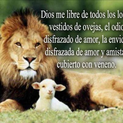 Cinthia Romero Photo 16
