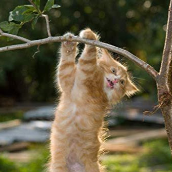 Vanessa Vaughan Photo 25