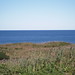 Christine Block Photo 16