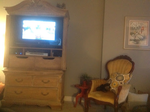 Dave Delaney Photo 40