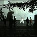 Joseph Hanak Photo 12