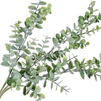 Megan Knowles Photo 19