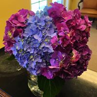 Sally Mcfarland Photo 27