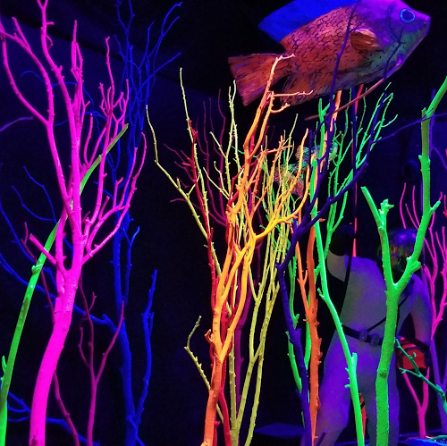 Patrick Roland Photo 26