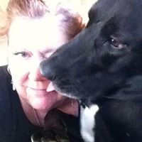 Ann Trimble Photo 11