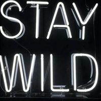 Robert Mcniel Photo 6