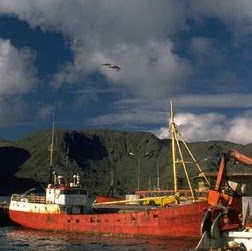 Connie Bradley Photo 14