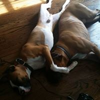 Charles Thurman Photo 15