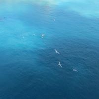 Donna Rhoads Photo 2