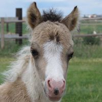 Christine Bragg Photo 15